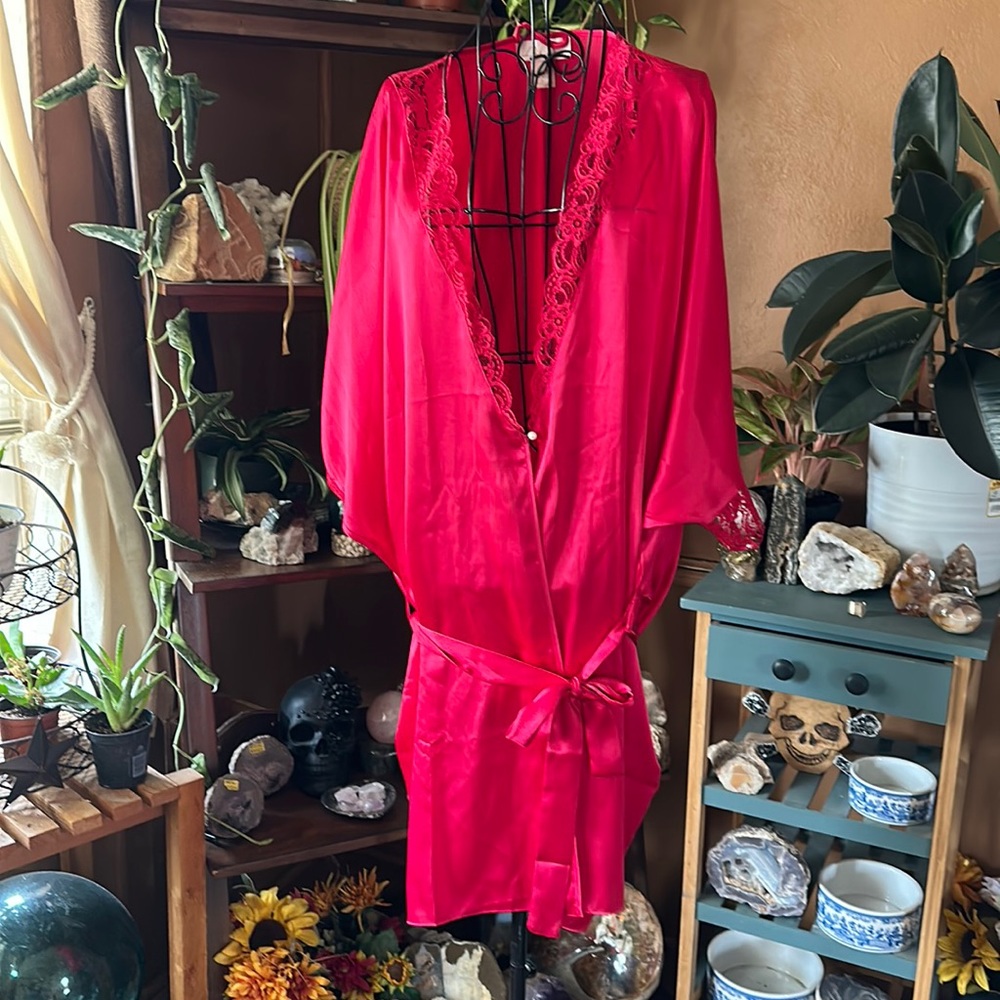 Women’s Vintage Delicatea lace satin rob gown boudoir oversized sexy intimate